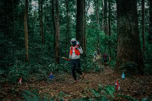 BIB: 
                            <button type="button" onclick="openModal(26132154)" class="btn btn-primary btn-sm float-right btn-popup" data-toggle="modal" data-target=".modal-high-quality">
                        <i class="fas fa-shopping-cart"></i> Add to Cart
                    </button>
                                            <button type="button" onclick="isThisMe(26132154, true)" class="btn btn-success btn-sm float-right btn-popup btn-isme hidden" data-toggle="tooltip" data-placement="bottom" title="นี่คือรูปของคุณใช่ไหม คลิกที่นี่เพื่อเอาเข้าอัลบั้ม">
                        <i class="fas fa-plus"></i> Add to album
                    </button>
                    <button type="button" onclick="isThisMe(26132154, false)" class="btn btn-warning btn-sm float-right btn-popup btn-isnotme hidden">
                        <i class="fas fa-ban"></i> Remove from album
                    </button>